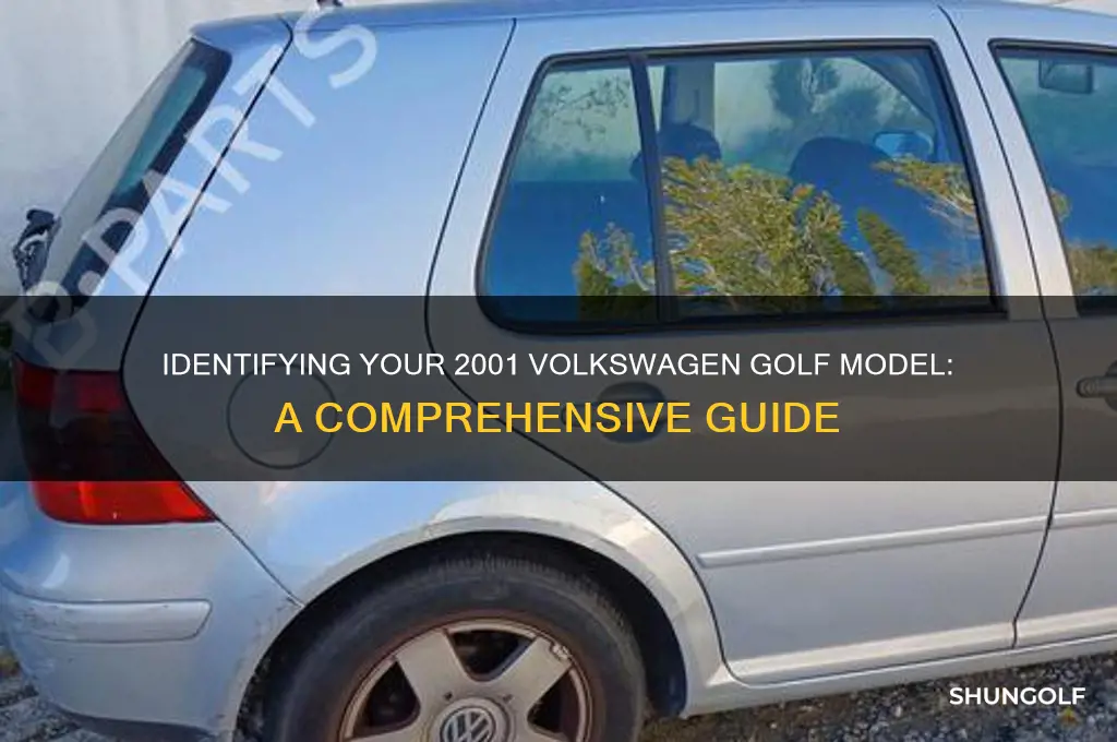 how to tell model of 2001 golf