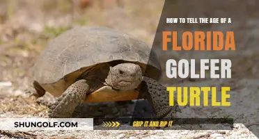 Identifying the Age of Florida's Golfer Turtle: Expert Tips and Techniques
