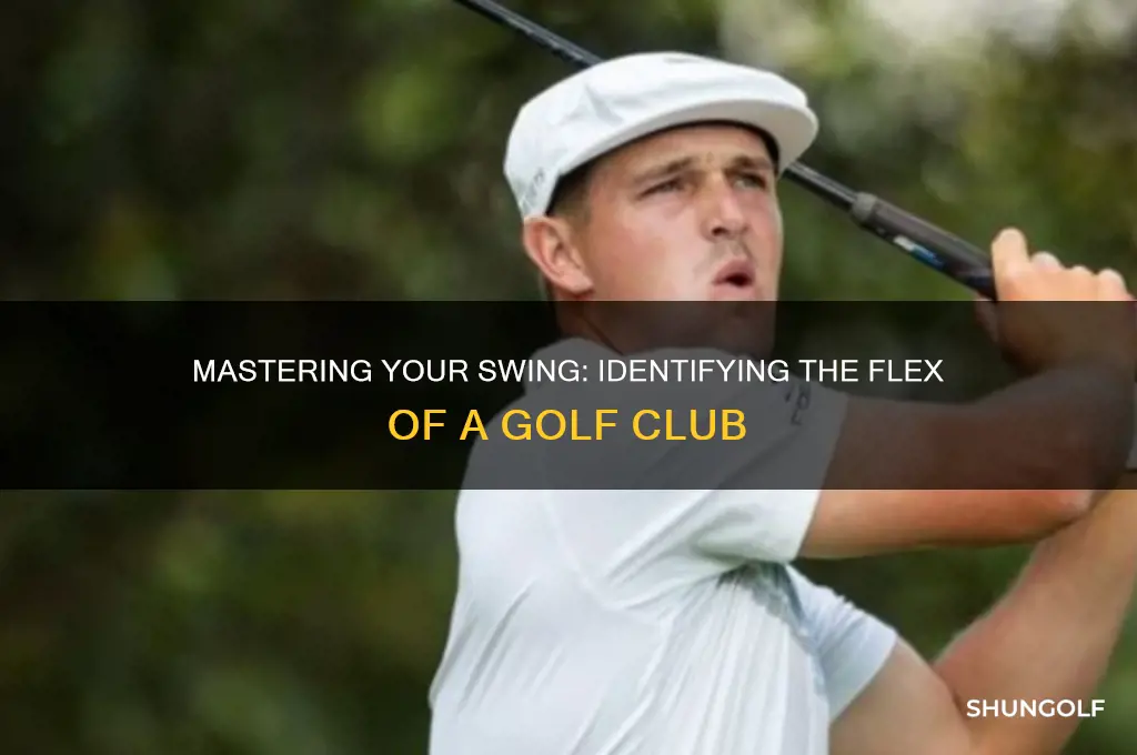 how to tell the flex of a golf club
