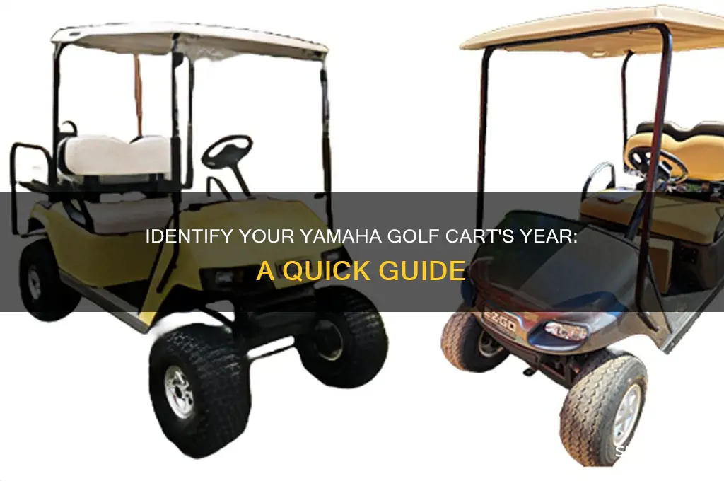 how to tell what year my yamaha golf cart is