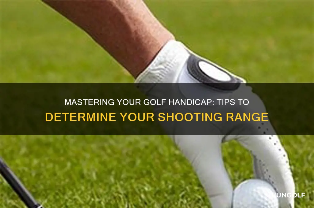 how to tell which golf handi shoot
