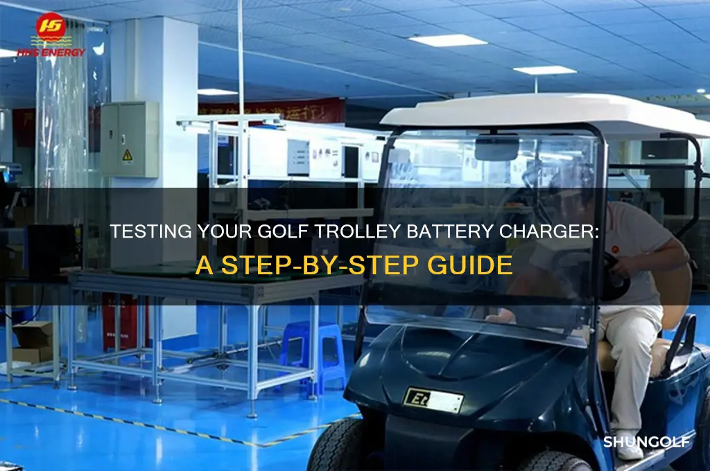 how to test a golf trolley battery charger