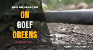 Effective Methods to Detect Nematodes on Golf Greens