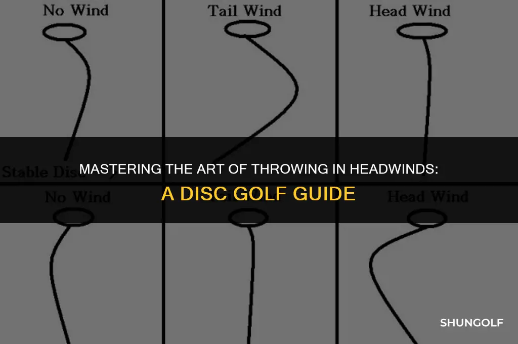 how to throw in head wind disc golf