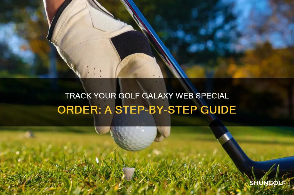 how to track a web special order from golf galaxy