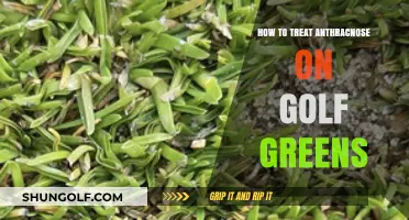 Effective Strategies to Combat Anthracnose on Golf Greens