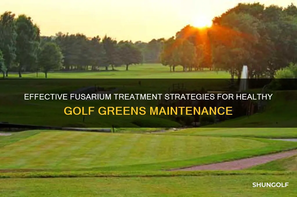 how to treat fusarium on golf greens