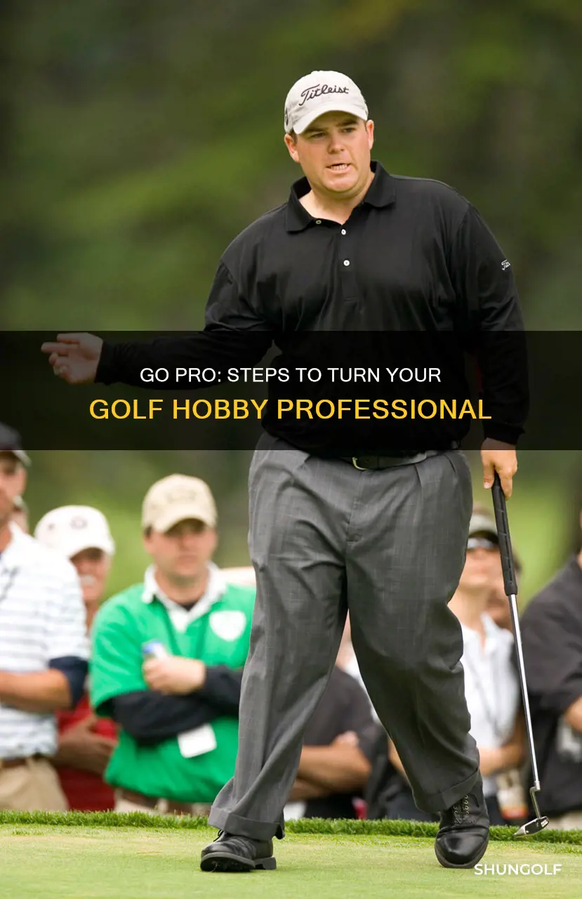 how to turn golf professional