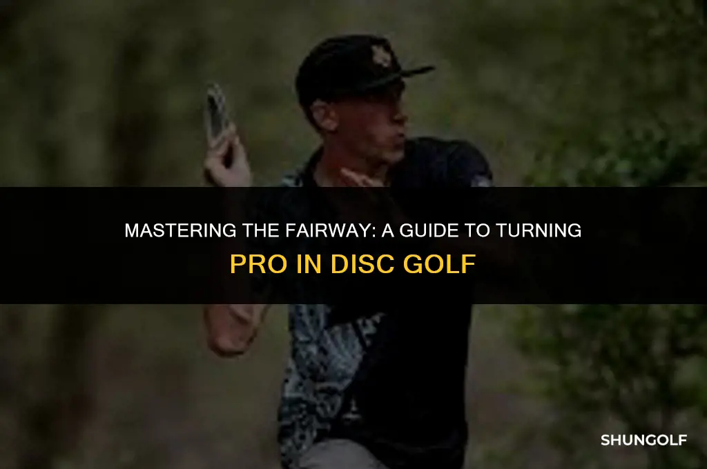 how to turn pro in disc golf