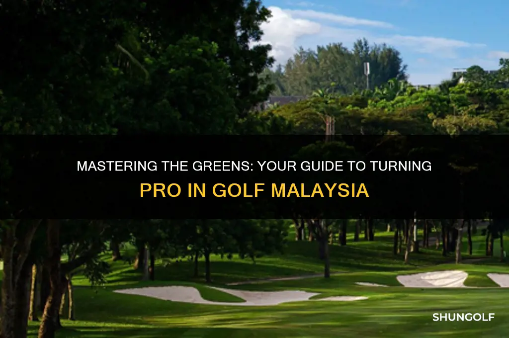 how to turn pro in golf malaysia