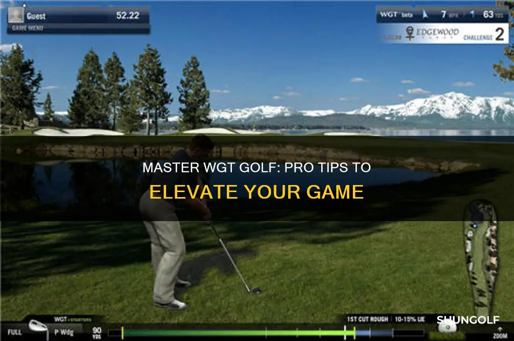 how to turn pro in wgt golf