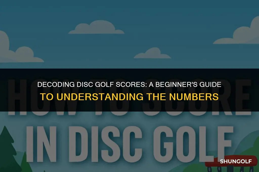 how to understand disc golf numbers