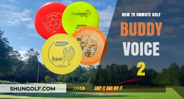 Unmute Golf Buddy Voice 2: Quick Steps to Restore Audio