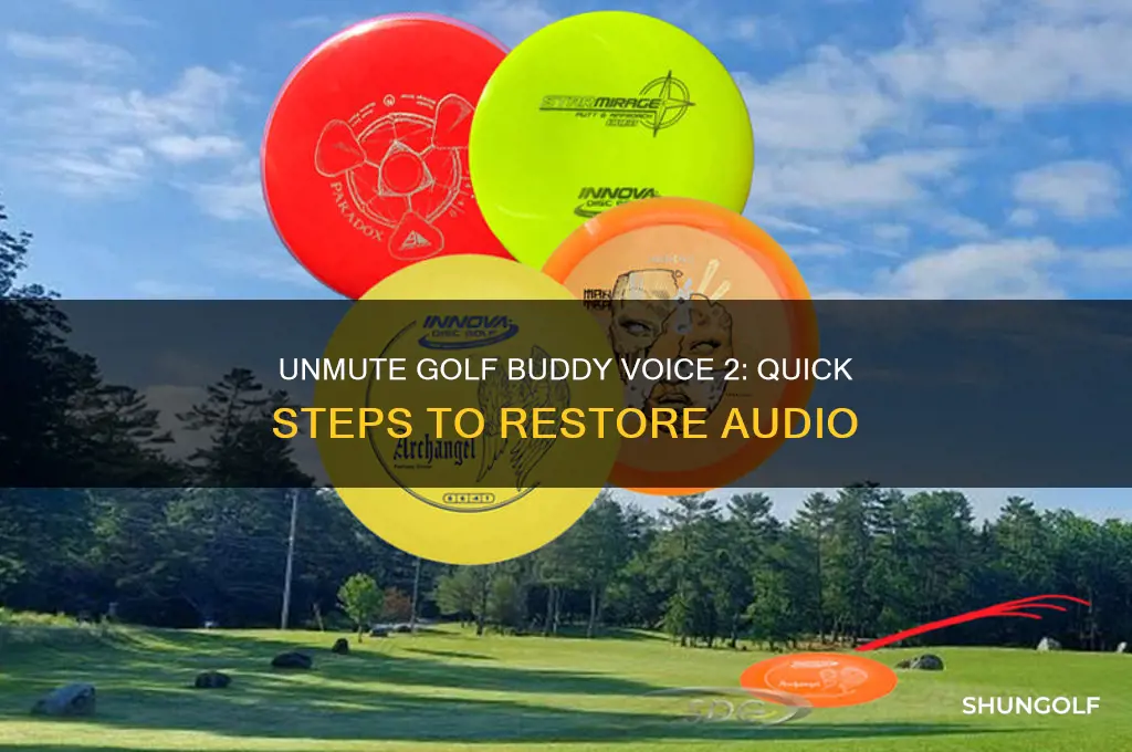 how to unmute golf buddy voice 2