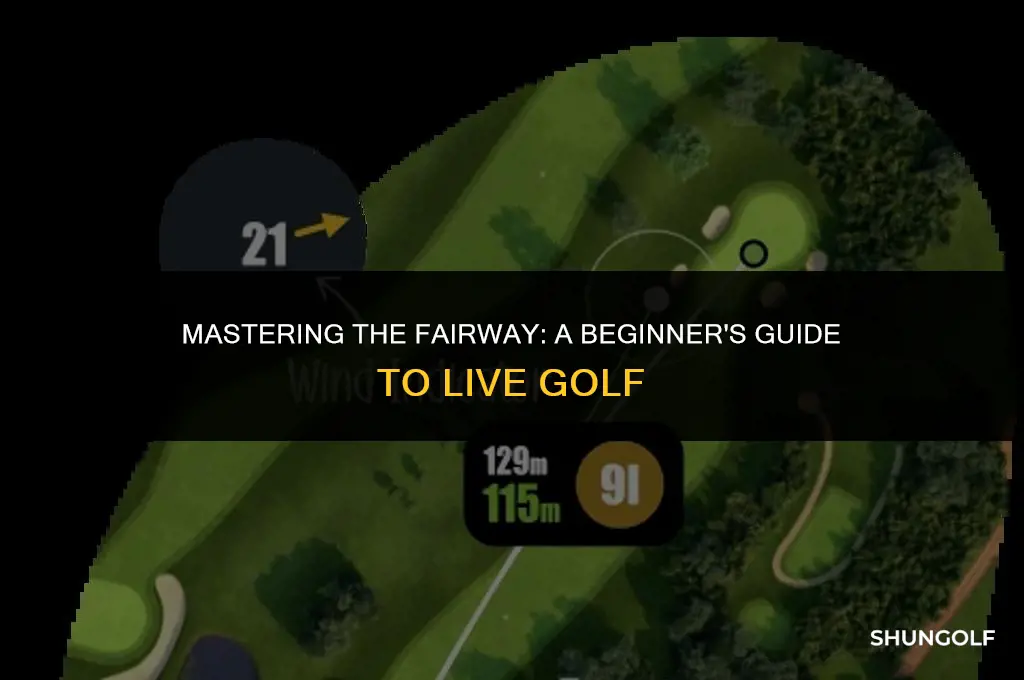 how to use live golf