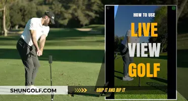 Mastering the Fairway: A Beginner's Guide to Live View Golf