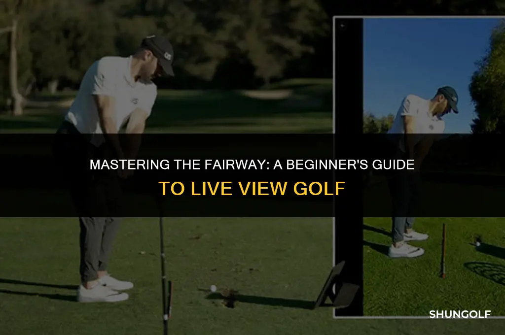 how to use live view golf
