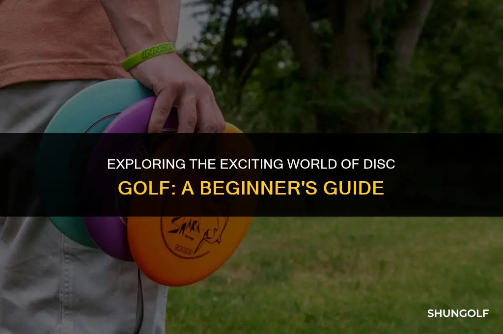 how to watch disc golf