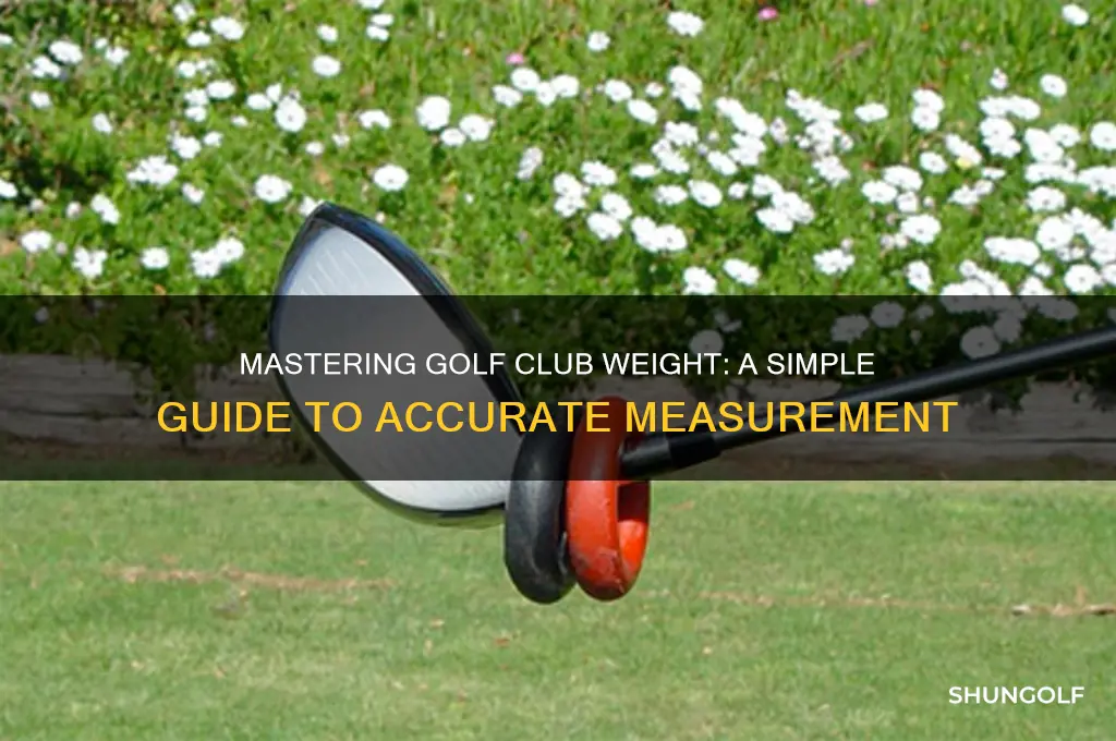 how to weigh a golf club
