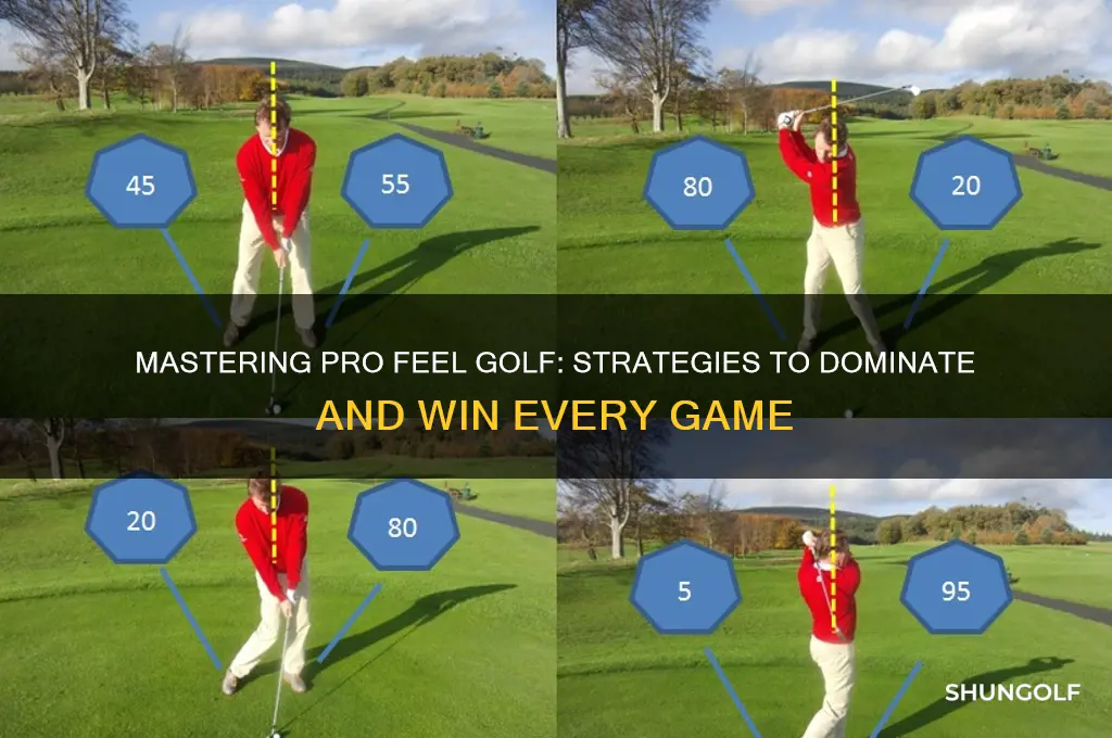 how to win at pro feel golf