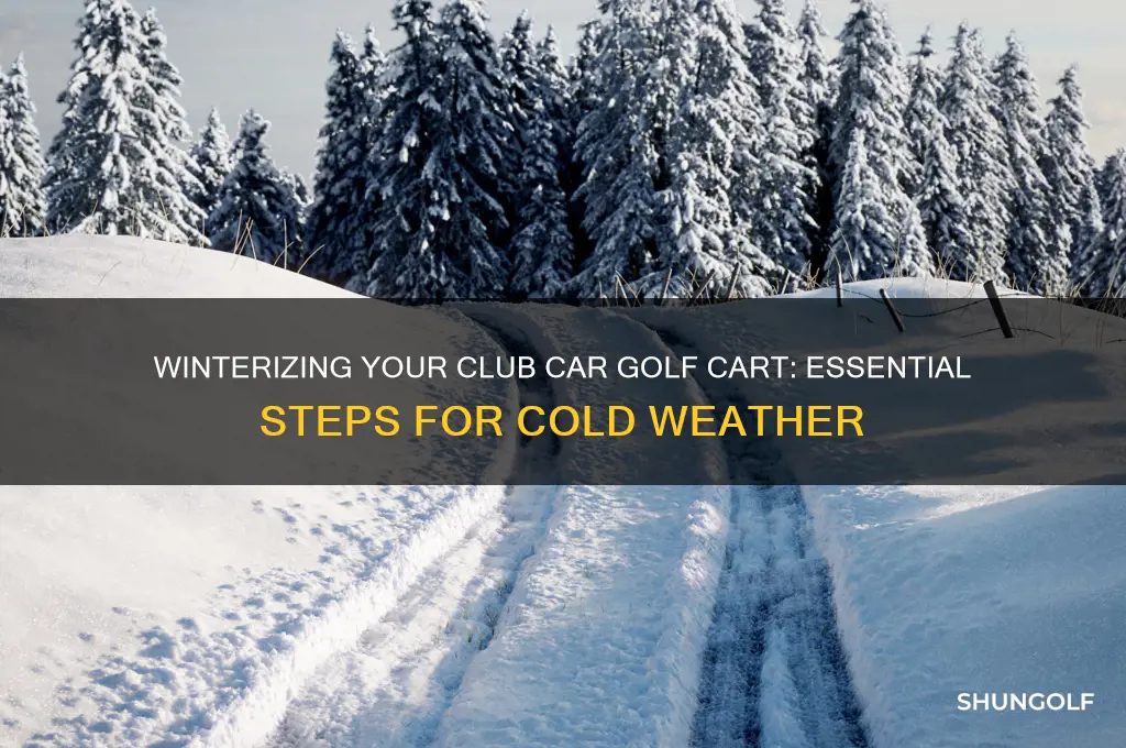 how to winterize a club car golf cart