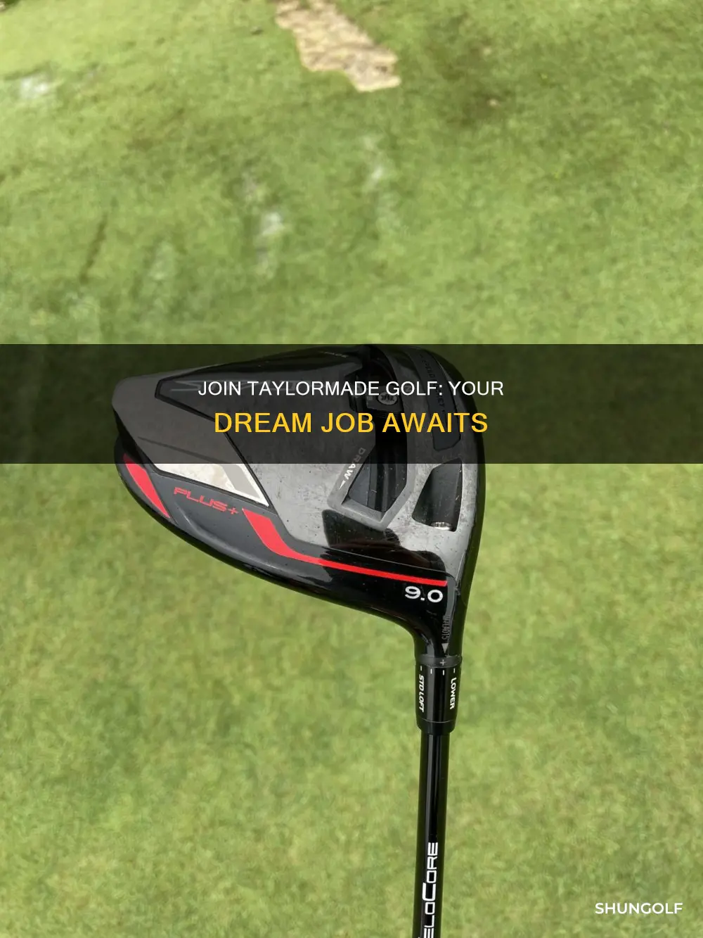 how to work for taylormade golf