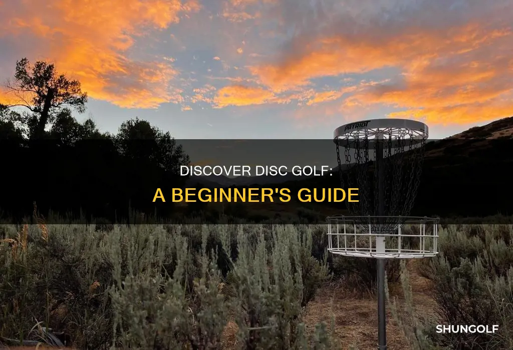 how tobout a disk golf