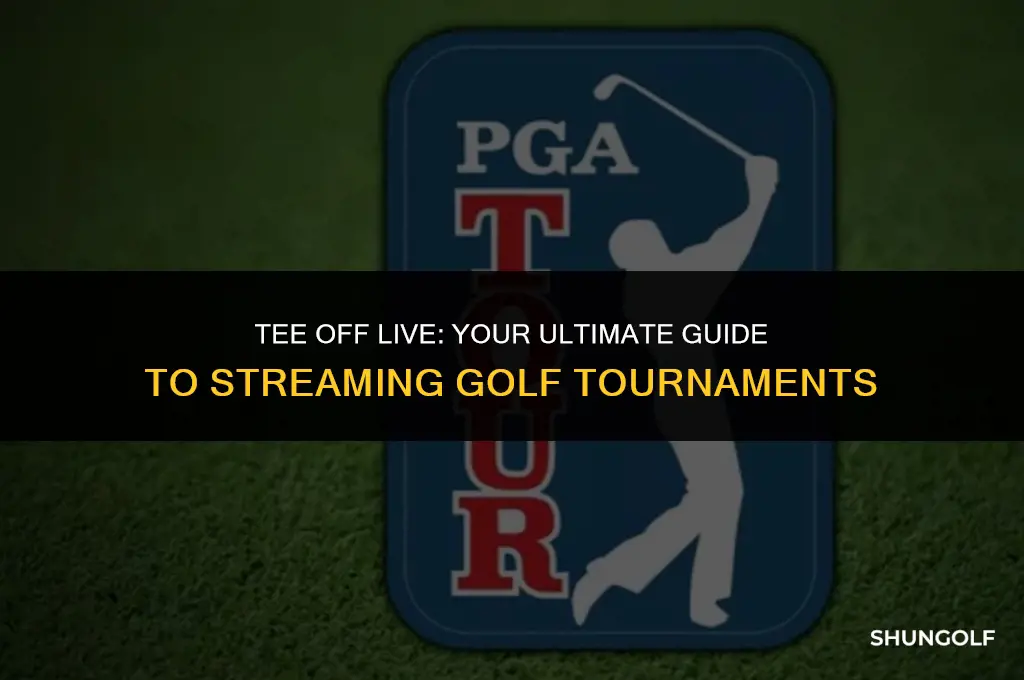 how tonwatch liv golf