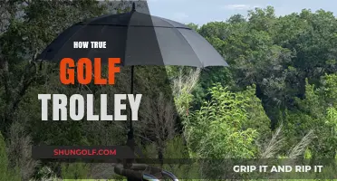 Golf Trolley: Fact or Fiction?