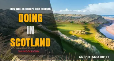 Trump's Scottish Golf Courses: Success or Struggling?