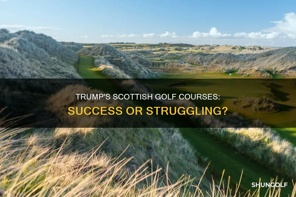 how well is trumps golf courses doing in scotland