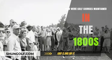 19th-Century Golf Course Care: Tools, Techniques, and Traditions