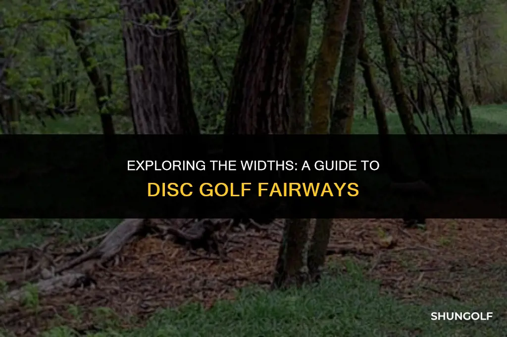 how wide are disc golf fairways