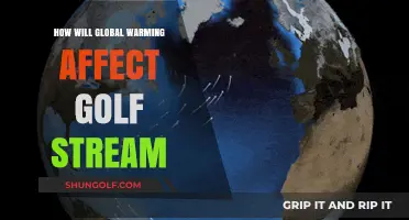Global Warming's Impact on the Gulf Stream: What to Expect