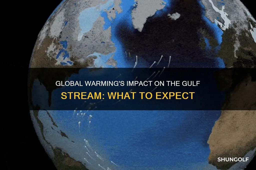 how will global warming affect golf stream