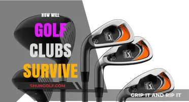 Golf Clubs' Survival Strategies: Adapting to a Changing Industry Landscape