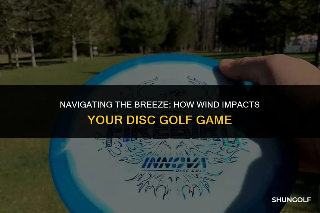how wind affects disc golf