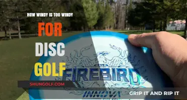 Navigating the Breeze: Optimal Wind Conditions for Disc Golf Enthusiasts