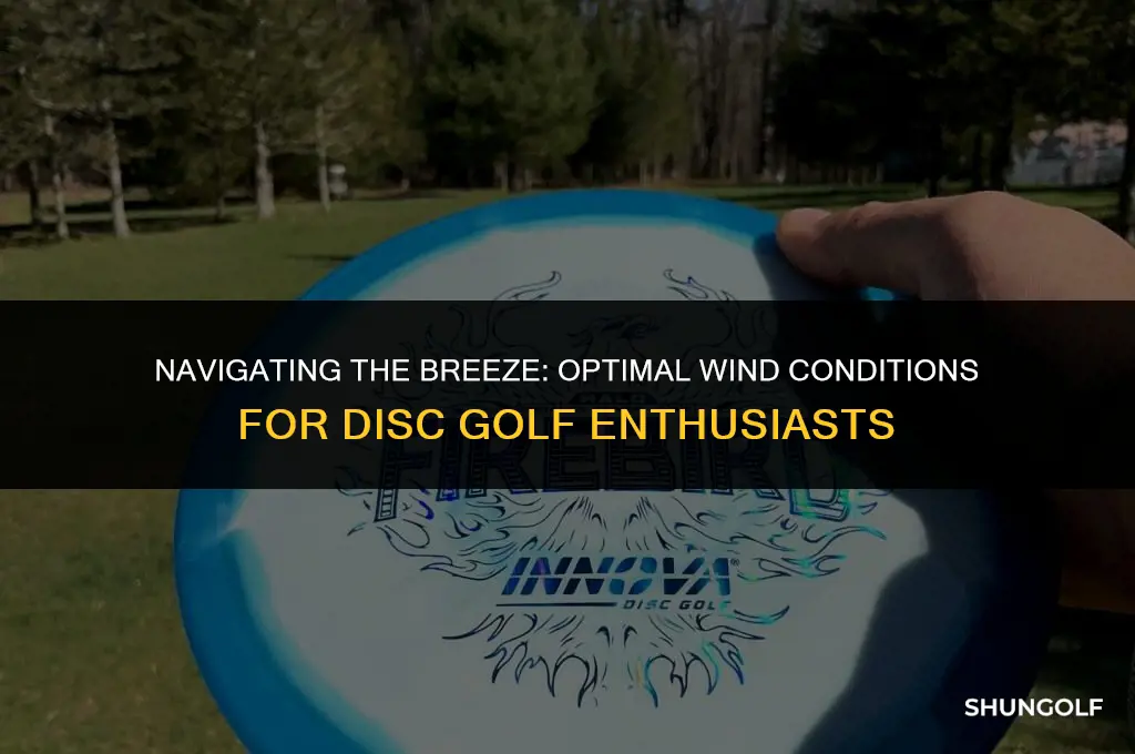how windy is too windy for disc golf