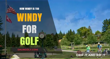 When Wind Becomes a Challenge: Golfing in Gusty Conditions