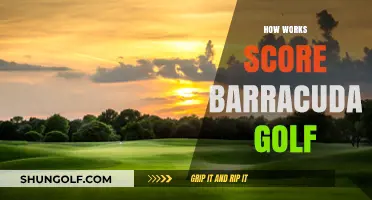 Understanding the Barracuda Golf Scoring System