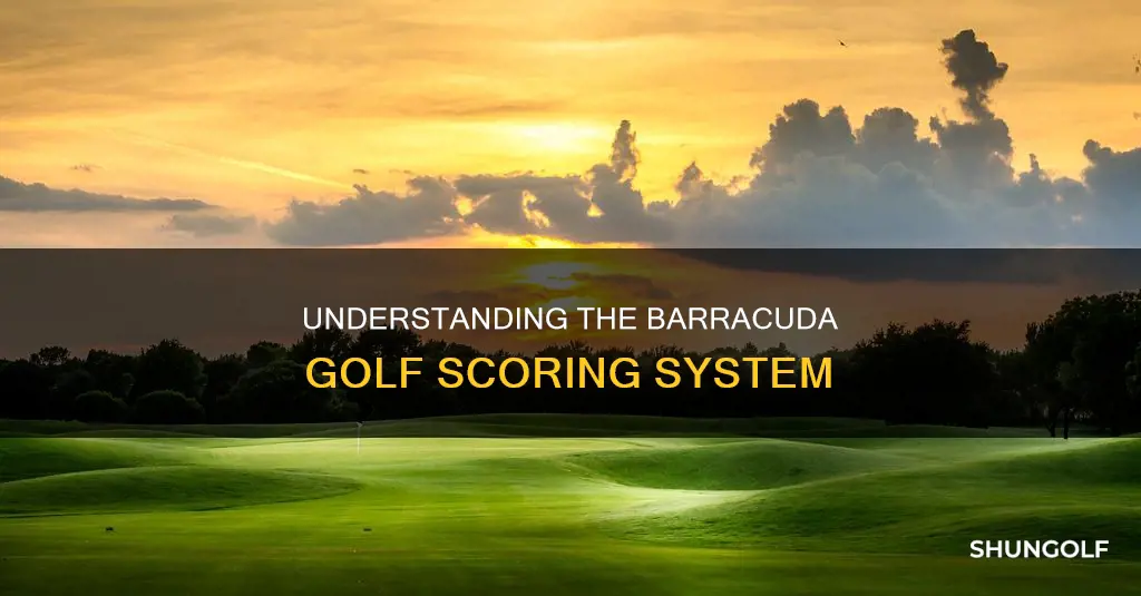 how works score barracuda golf