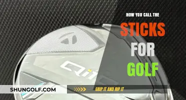 What Are Golf Sticks Called? A Beginner's Guide to Golf Clubs