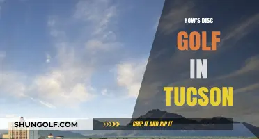 Exploring Tucson's Disc Golf Scene: A Beginner's Guide