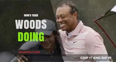 Tiger Woods: His Recent Journey and Progress
