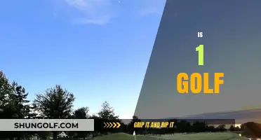 Golf's Ultimate Challenge: One Course, One Champion