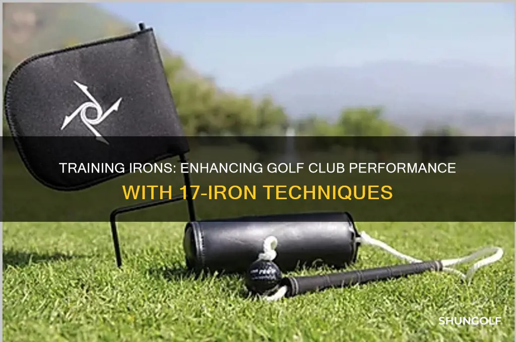 is-17 training iron for golf clubs