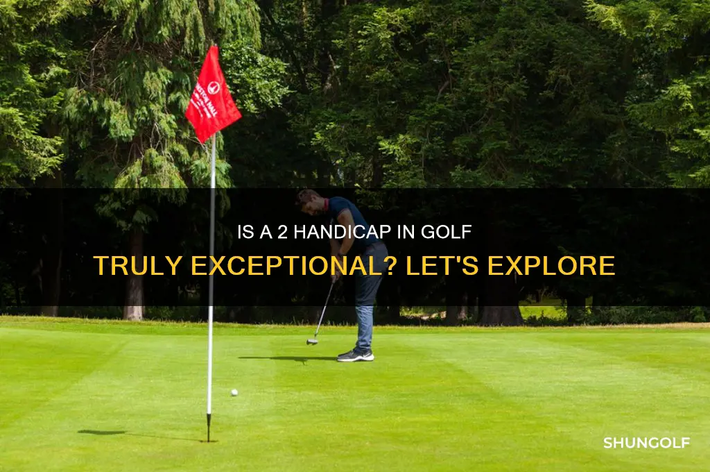 is 2 a good handicap in golf