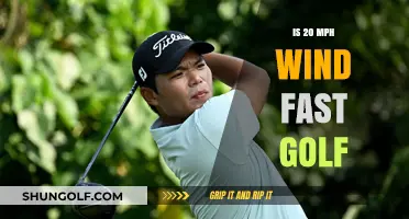 Golfing in Gusty Conditions: 20 mph Wind Speed Explained