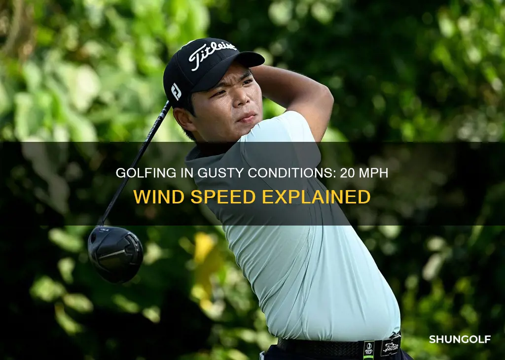 is 20 mph wind fast golf